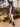 the-fashion-propellant-accademia-brera-niloufar-roshani-6 (4)
