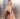 the-fashion-propellant-bartolotta-martorana-ss-22-collection-5